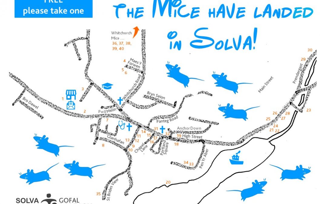 40 Mice Have Landed in Solva!